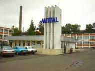 Mittal Steel „mocneste“ a grevã