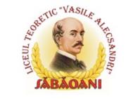 Liceul Teoretic „Vasile Alecsandri“ - unitate de învãtãmînt de prestigiu