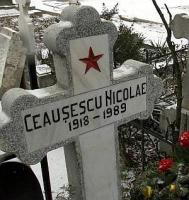 „  Ceausescu avea 93 de ani, dacã s-ar fi tratat la Viena“